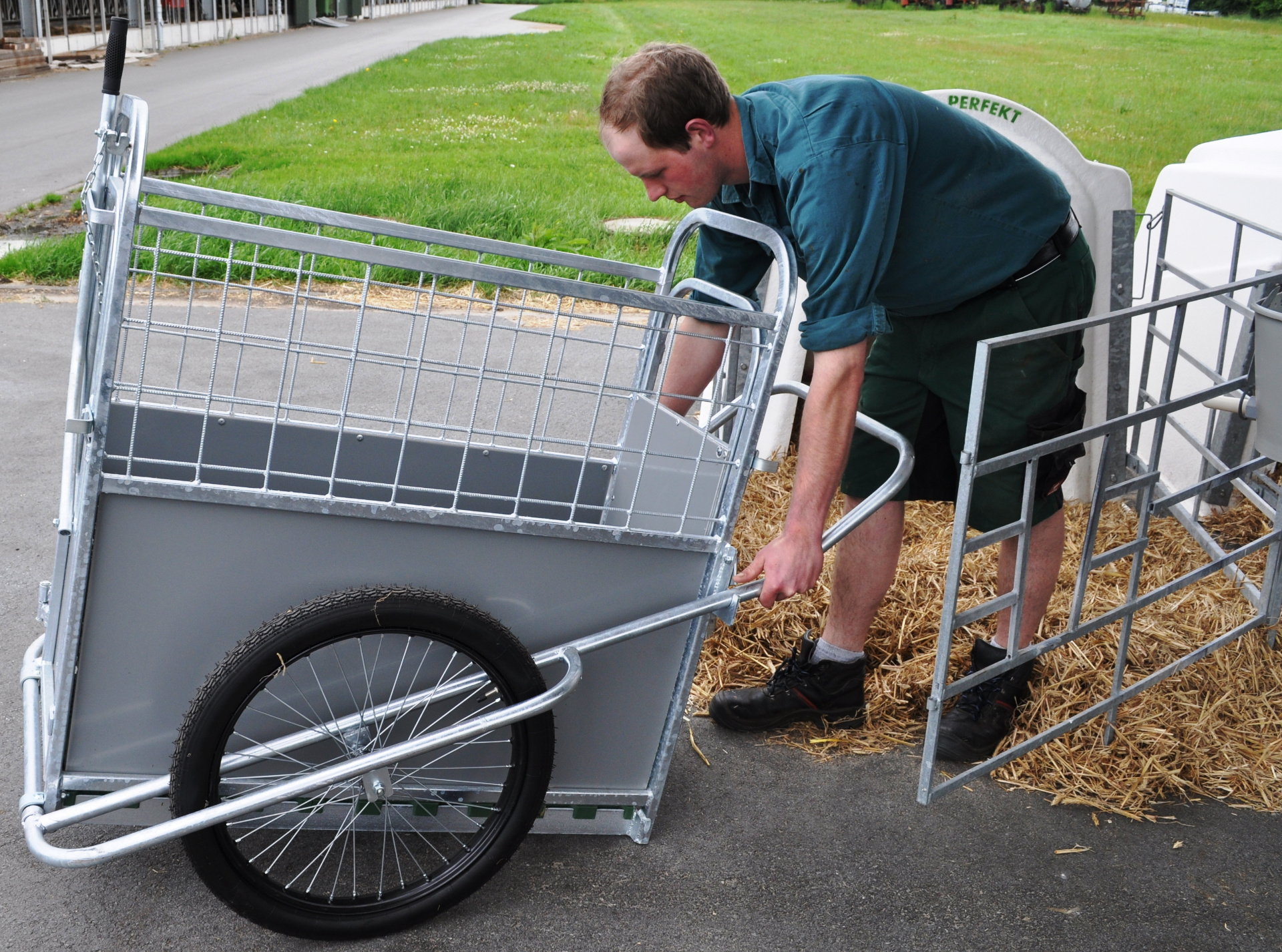 Mécanisme de levier du CalfBuggy