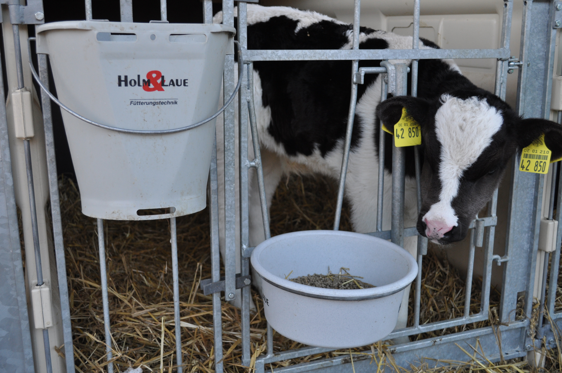 Feed bucket next to the door