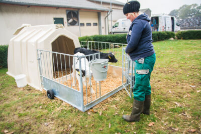 La fermière entre dans le TwinHutch par la FlexyFence ouverte.