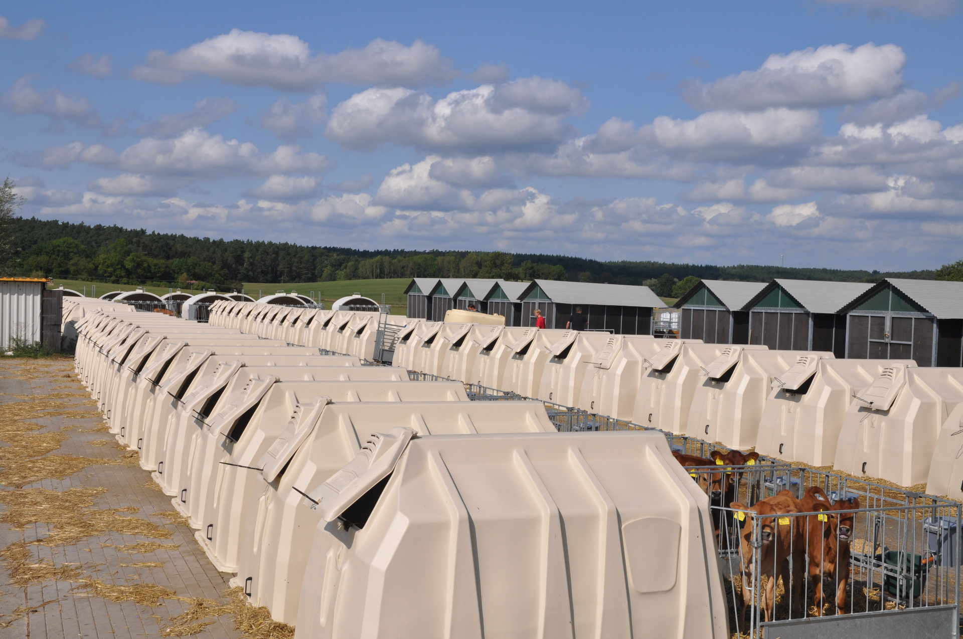 Two rows of TwinHutches in the outdoors