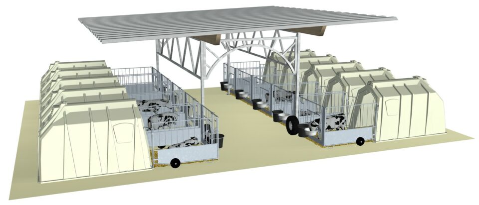 Holm & Laue CalfGarden with a total of ten hutches