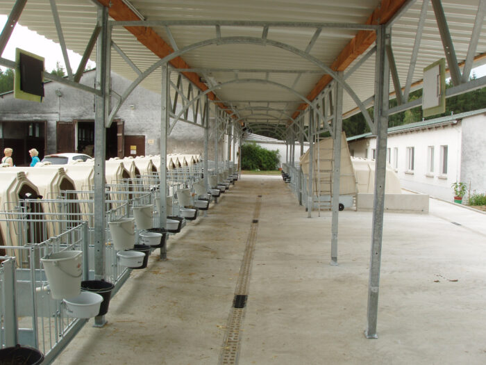 Large CalfGarden with several hutches