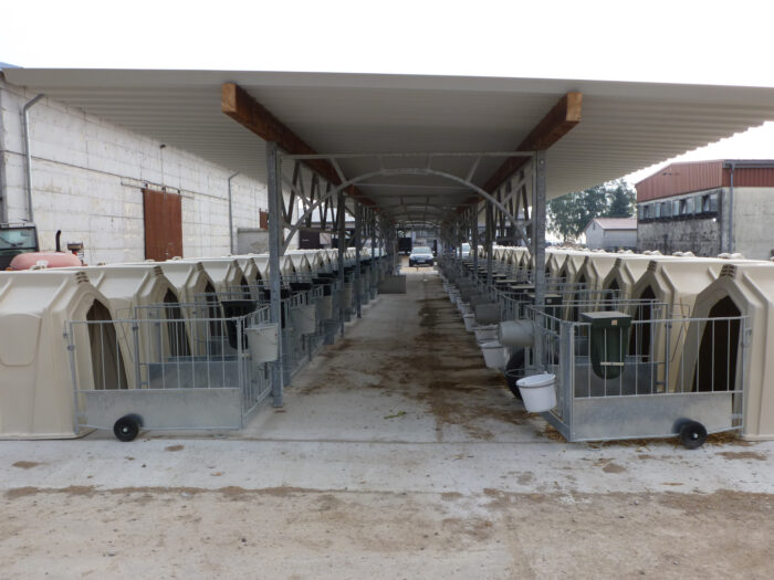 Extended CalfGarden with 20 hutches