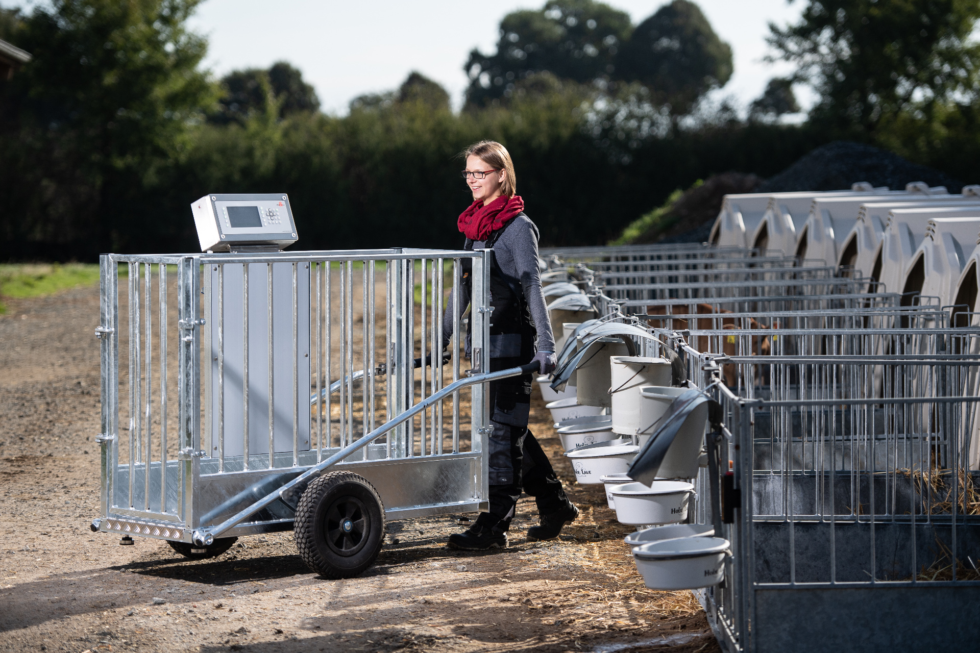 Eenvoudig transport van de mobiele doordrijf-weegschaal