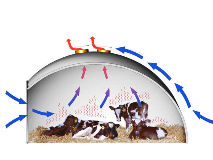 该图示呈现了 Holm & Laue 圆顶牛舍中的气流（伯努利效应）。