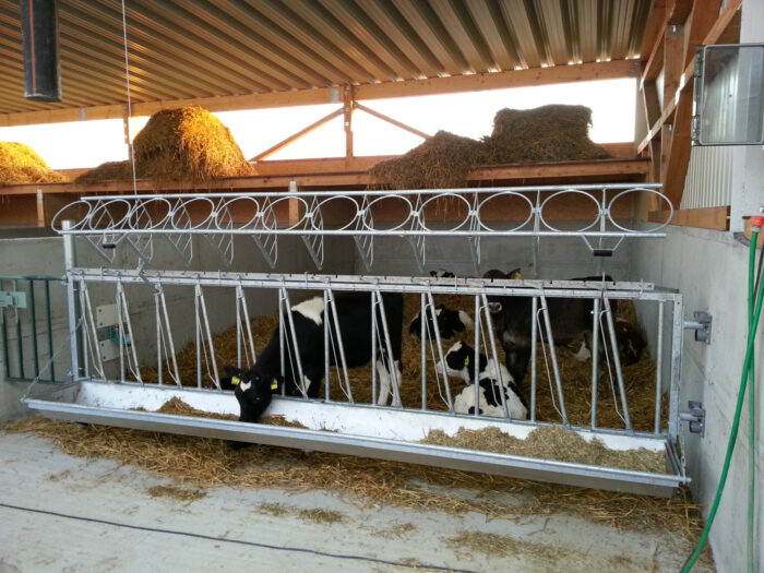 This photo shows a feed fence with v-shaped feeding place openings.