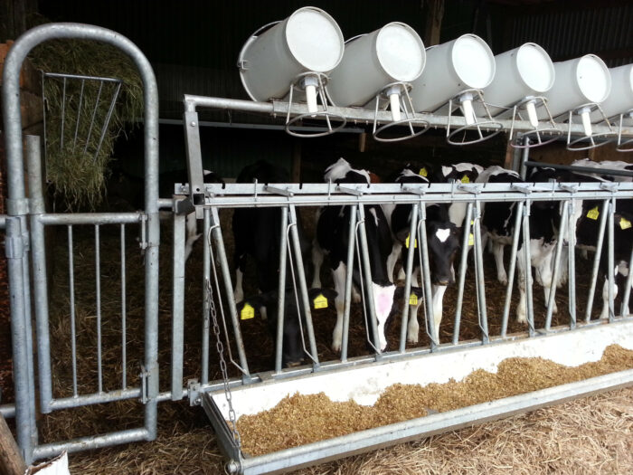 This picture shows the manway in the feed fence.