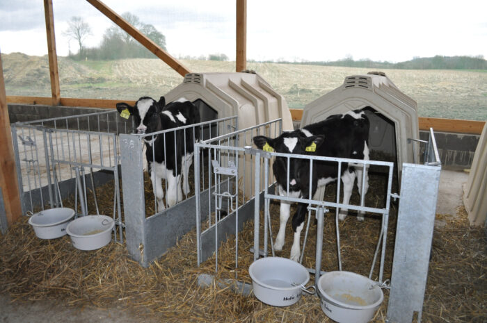 Op deze foto zijn twee naast elkaar staande Calf-Tel-hokken met FlexyFence te zien.