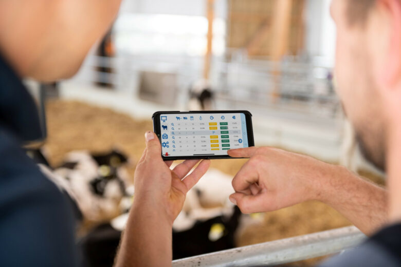 This picture shows a smartphone with the CalfGuide app. The app displays calf data.