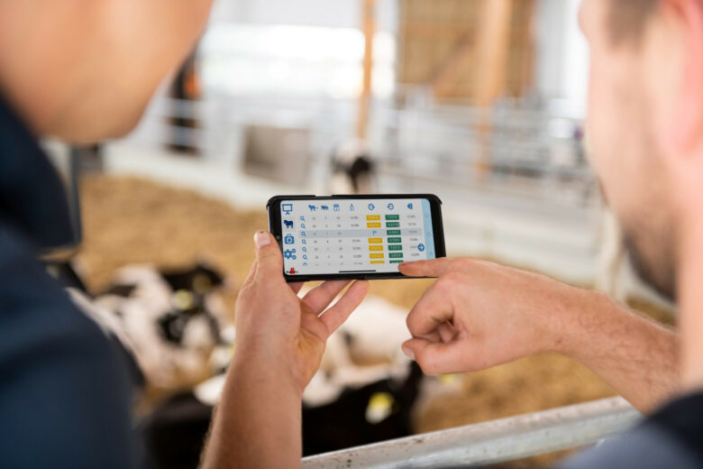 Op deze foto is een smartphone met CalfGuide-app te zien. De app geeft kalvergegevens aan.