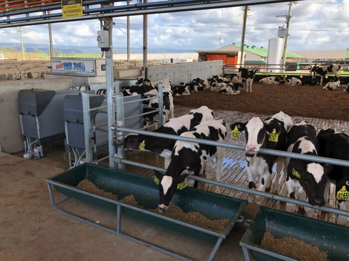 Deze foto toont twee HygiëneStations in de openlucht-houderij.