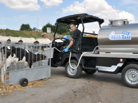 This picture shows a MilkTaxi XXL dispensing feed.