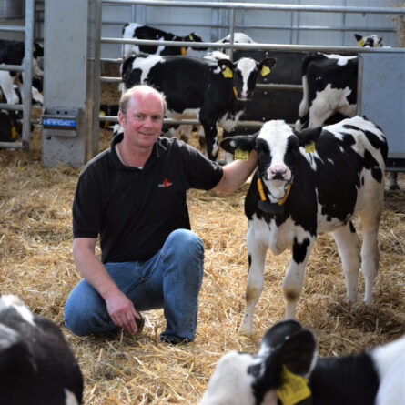 Achim Holm crouching in a barn next to a calf