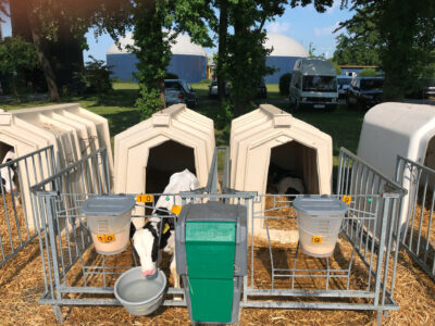 Temporary repurposing of 2 hutches into a pair box