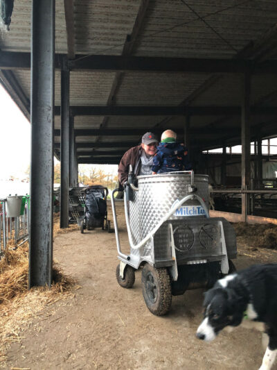 Barn sidder på en MælkeTaxa