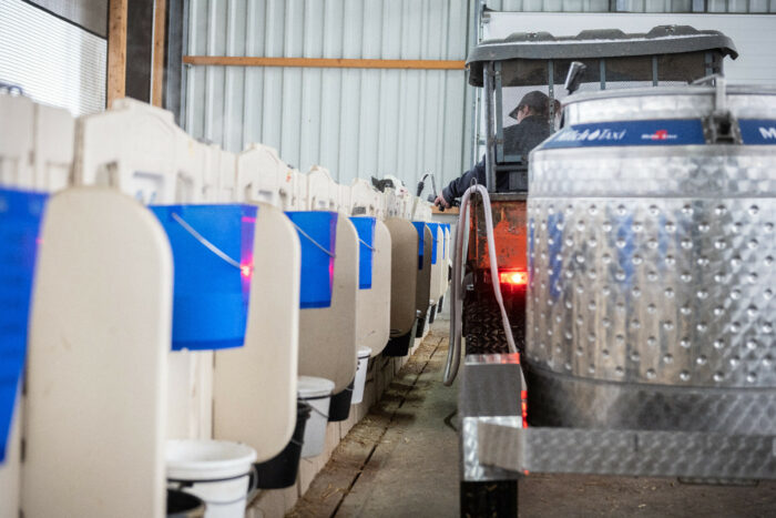 Dosing out with the MilkTaxi 400 Litres