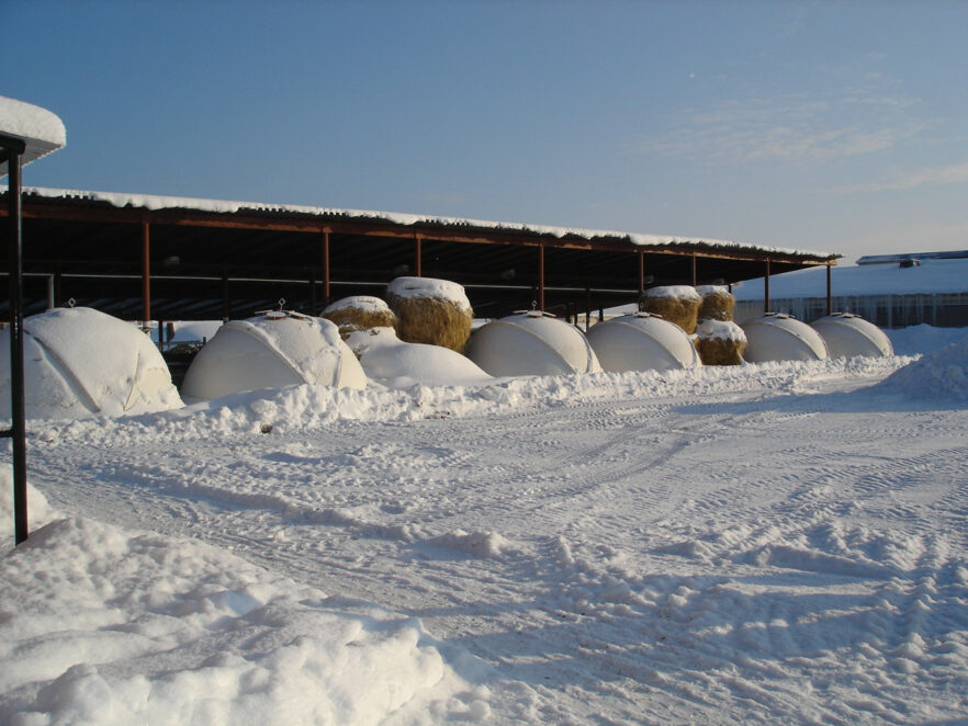 6 grote iglo’s in de Russische sneeuw