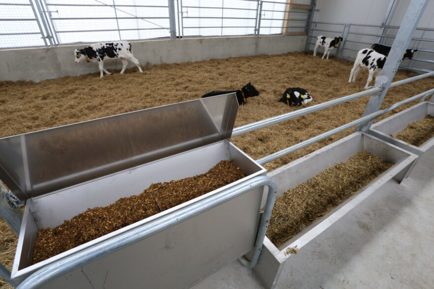 Concentrate dispenser and roughage trough