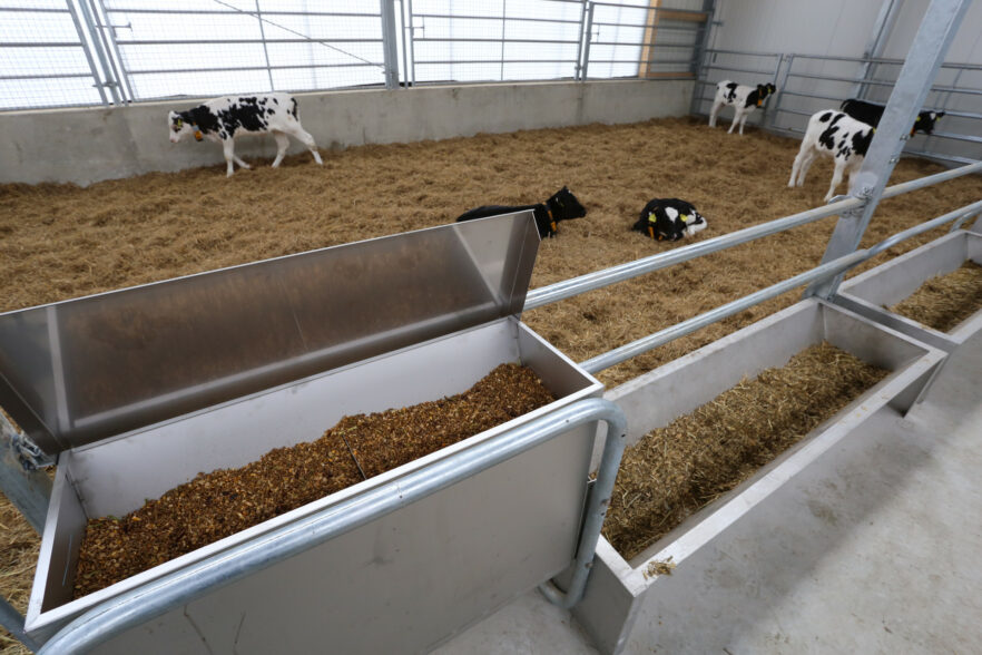 栄養強化剤ディスペンサーと粗飼料トラフ