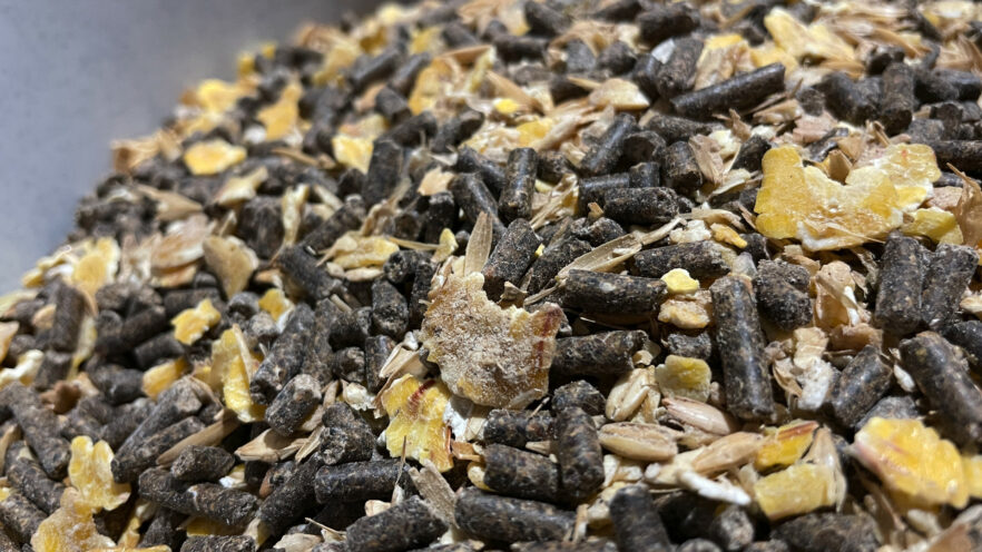 Lekkere muesli voor kalveren