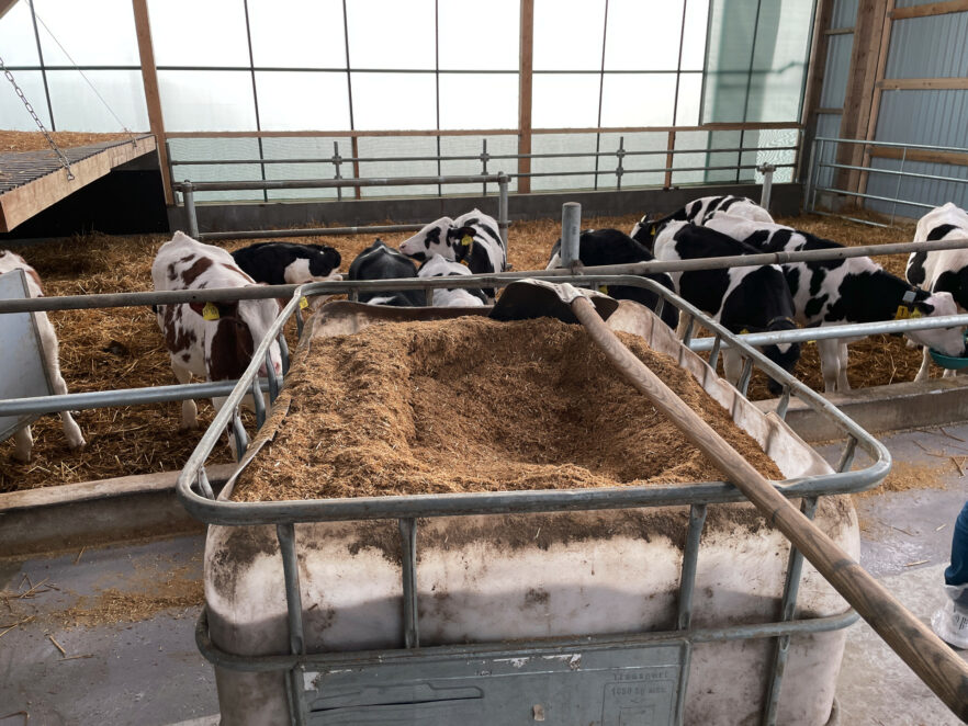 A shovel lying on top of an IBC container with feed