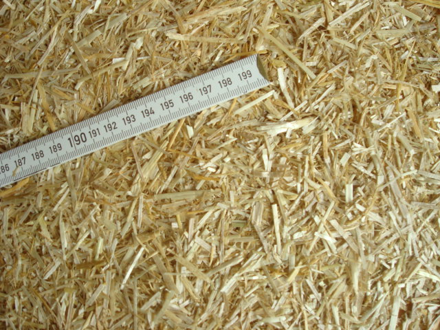 Calf straw with yardstick