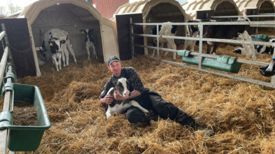 Henrik Einarsson with a calf