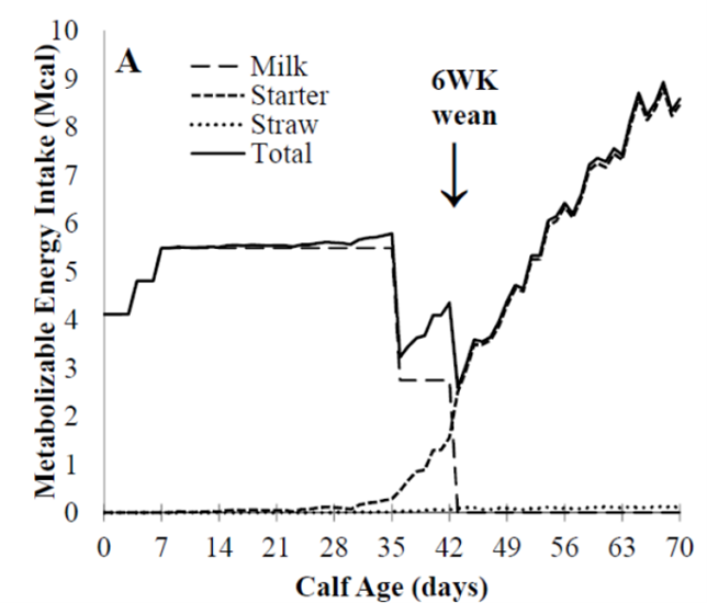 3. Eckert et al: Energy intake at weaning after six weeks