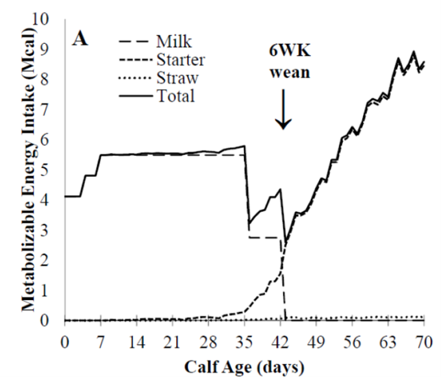 3. Eckert et al.: ingesta de energía en el momento de la retirada de leche después de seis semanas