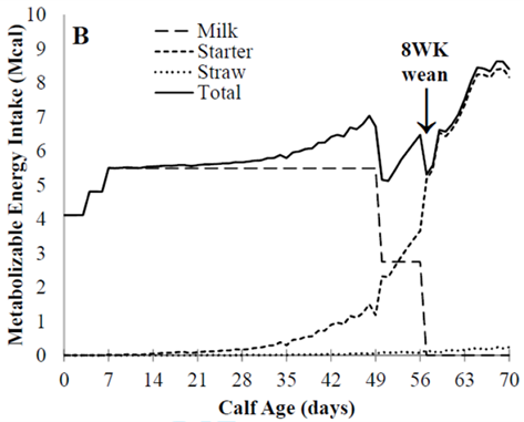 4. Eckert et al: Energy intake at weaning after eight weeks