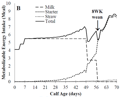 4.Eckert et al: 8週後離乳でのエネルギー摂取量