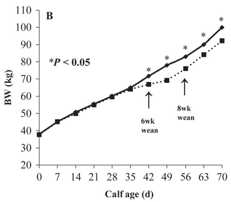 5. Eckert et al : Comparaison des poids corporels des deux lots