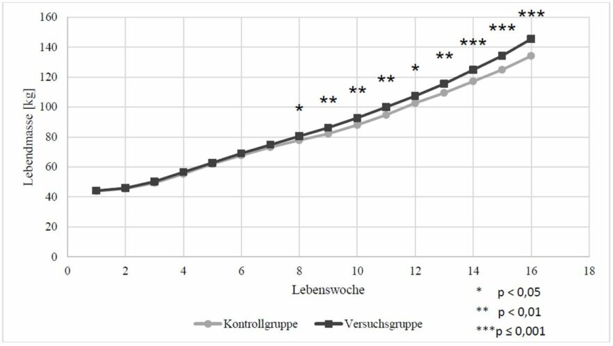 2. Live weight development of test animals