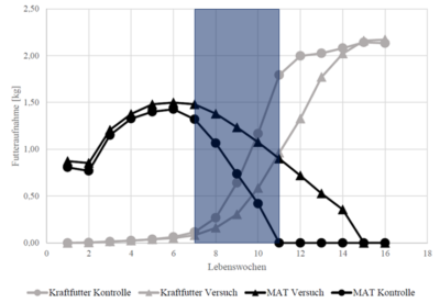 due curve mostrano il consumo di MAT e due curve mostrano il consumo di mangime concentrato, una zona blu mostra la fase di svezzamento del gruppo di controllo