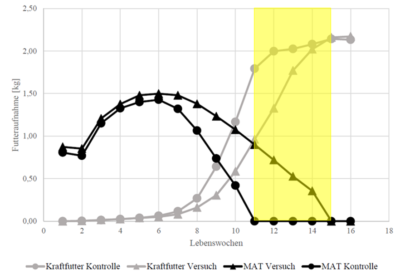 due curve mostrano il consumo di MAT e due curve mostrano il consumo di mangime concentrato, una zona gialla mostra la fase di svezzamento del gruppo sperimentale