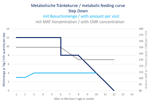 Curva di bevuta metabolica con un massimo di 12 litri e uno Step-Down a 8 litri per stimolare maggiormente l’assunzione di mangime concentrato.