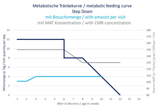 Courbe d’alimentation métabolique avec 12 l maximum et step-down à 8 l pour stimuler davantage la consommation de concentré.