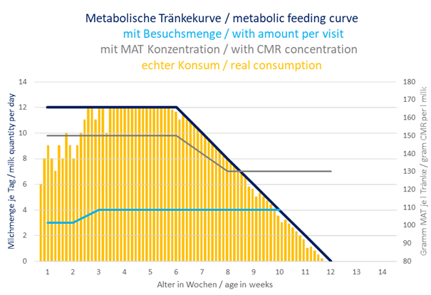 Feed consumption over a metabolic feeding curve with increasing intake in the first 3 weeks.