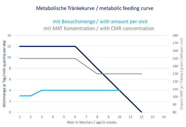 Metabolic drinking curve with a maximum of 12 l and 150 g of CMR (15 % DM), reduced to 130 g of CMR during the weaning phase.