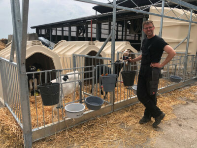 Three TwinHutches in a calf garden