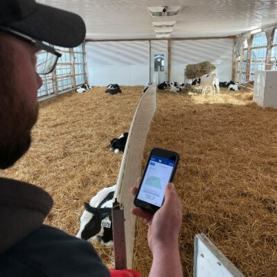 Keeping control with the CalfGuide app