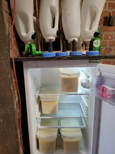 Køleskab med beholdning af råmælk