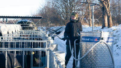 Finja fodrer kalvene med MælkeTaxaen