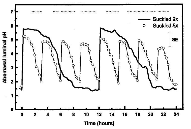 pH level development in the abomasum after feeding 2 or 8 times a day. Daily amount of 12% of body weight. pH level development in the abomasum after feeding 2 or 8 times a day. Daily amount of 12% of body weight.