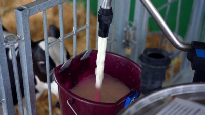 Dispensing with MilkTaxi
