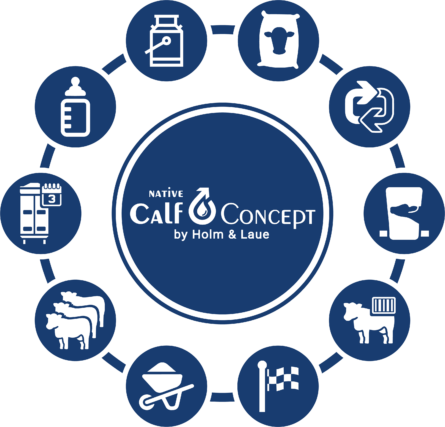 Native Calf Concept met 10 stappen